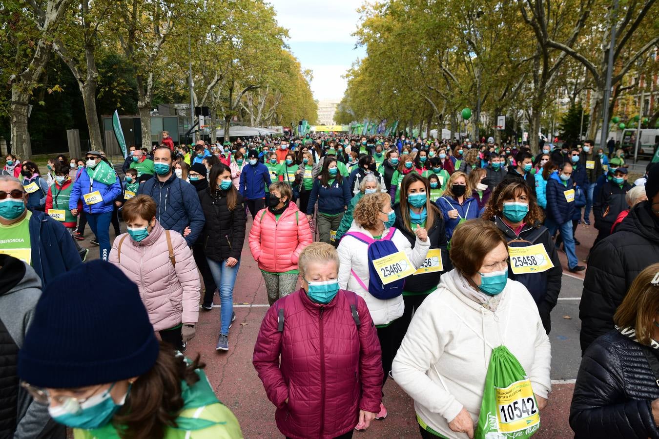 Fotos: Marcha contra el Cáncer en Valladolid (3)