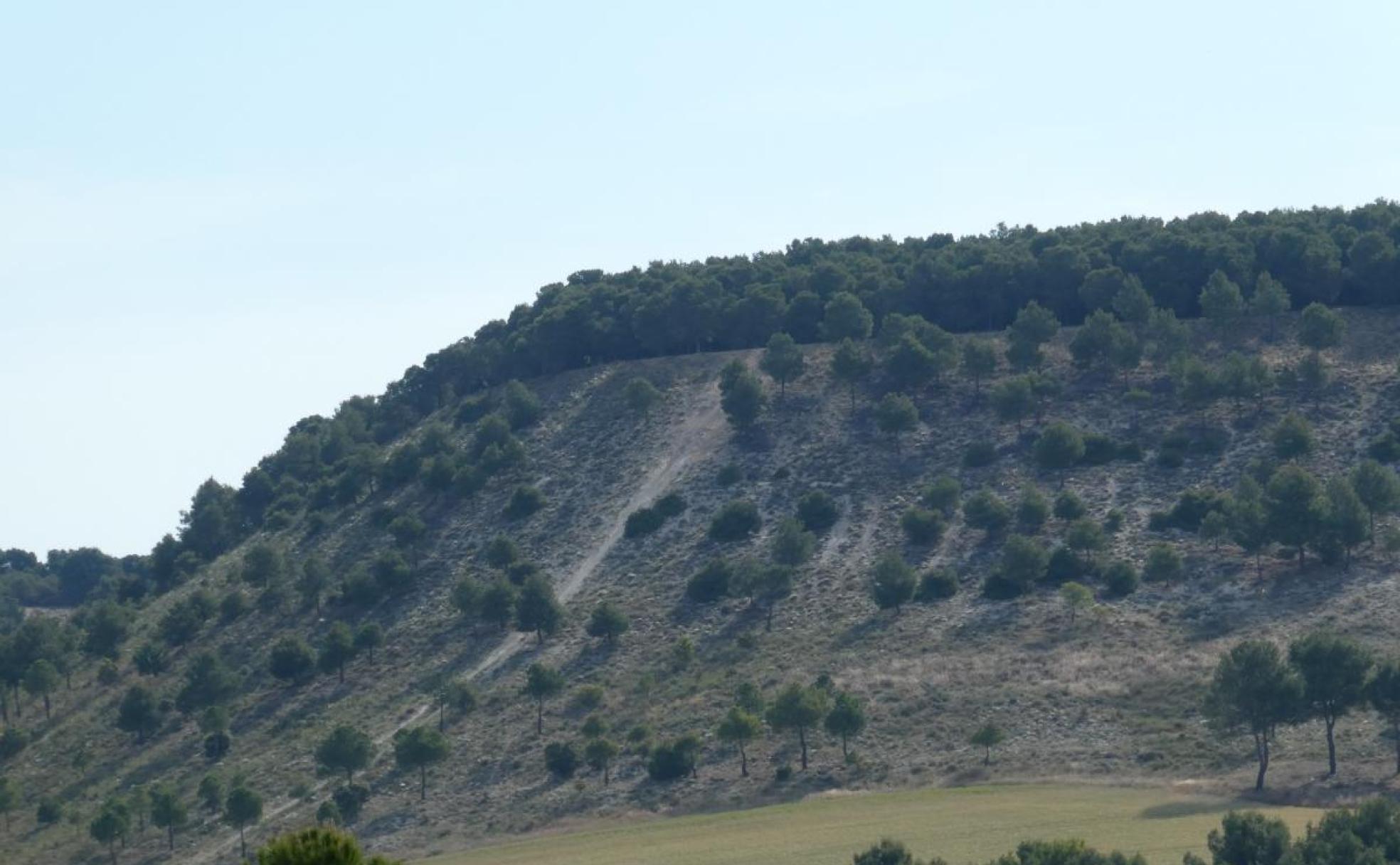 Uno de los cerros que separa Arroyo de la Encomienda de Ciguñuela. 