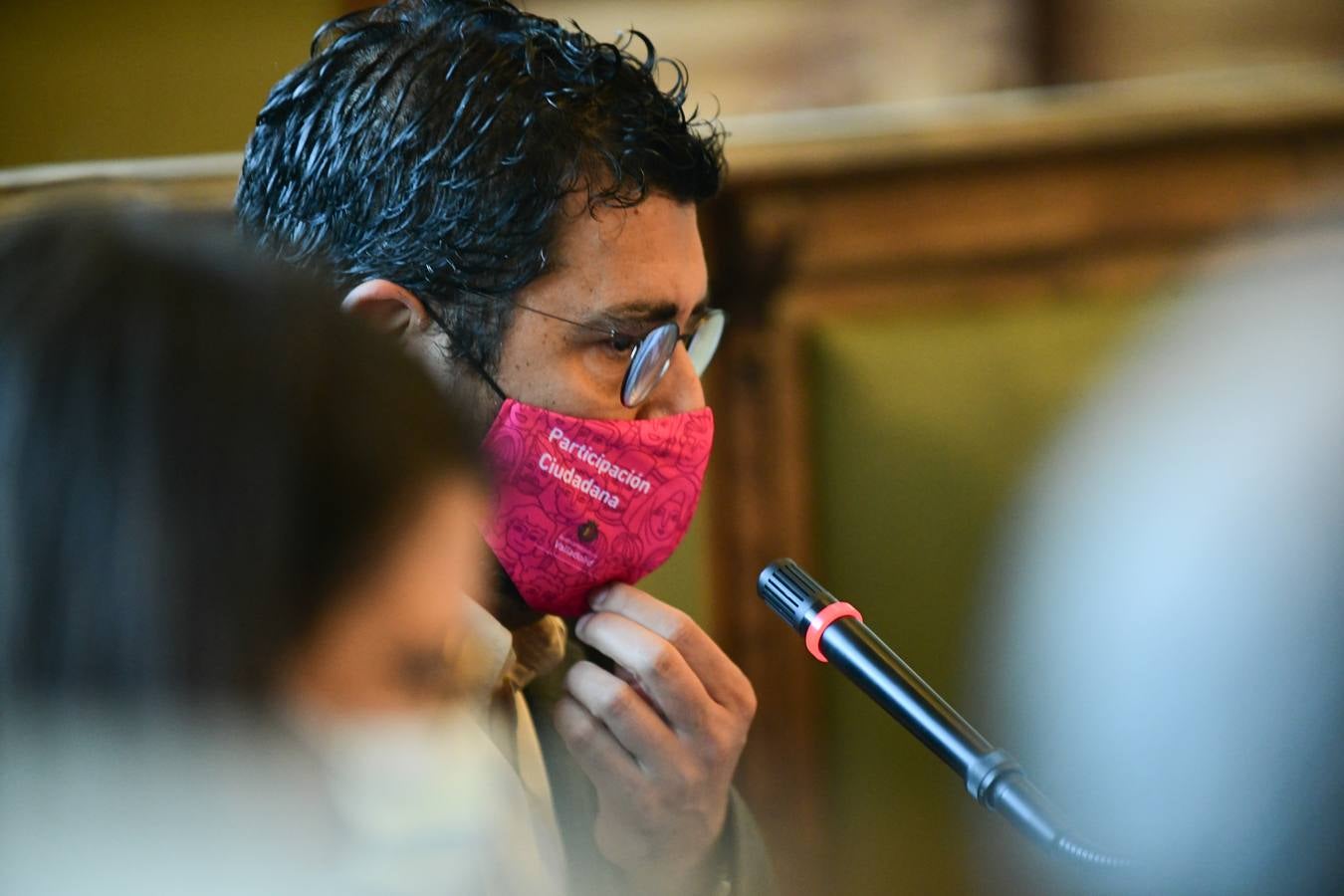 Fotos: Pleno en el Ayuntamiento de Valladolid