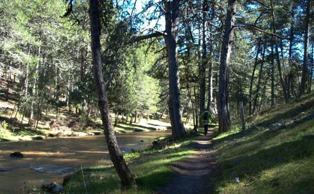 Primeros metros de la ruta desde Hontoria. 