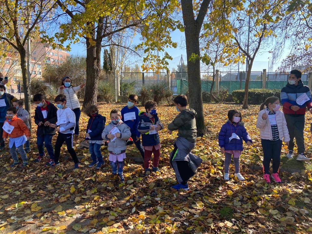 Fotos: Los alumnos del CEIP Parque Alameda bailan contra la obesidad