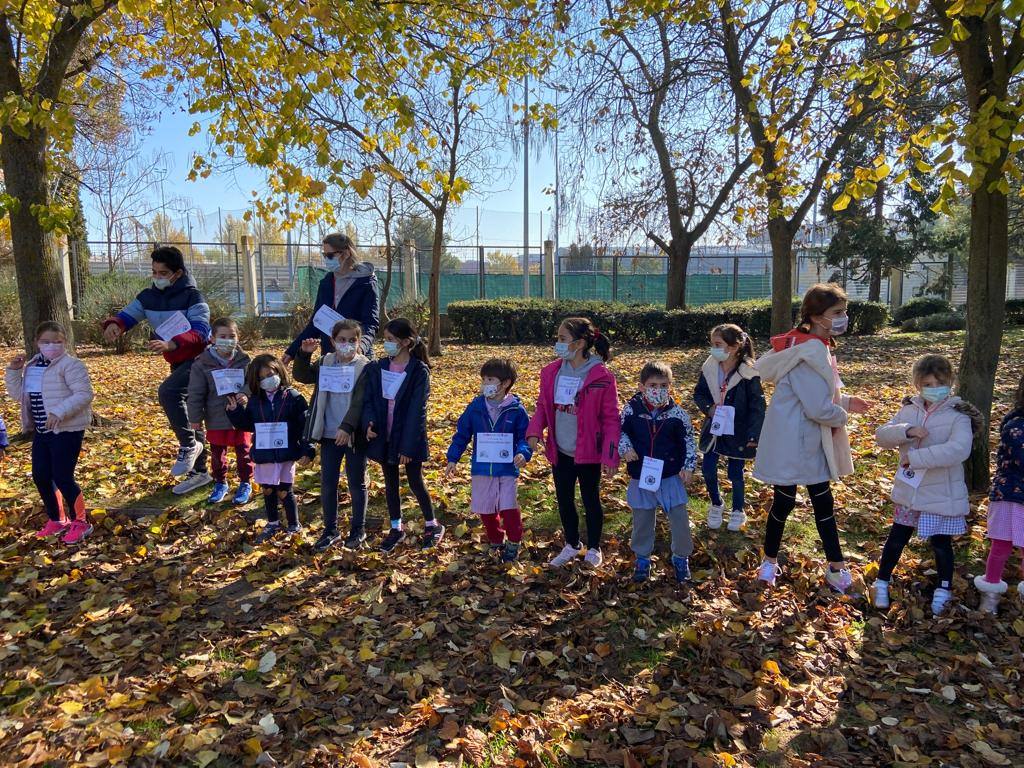 Fotos: Los alumnos del CEIP Parque Alameda bailan contra la obesidad