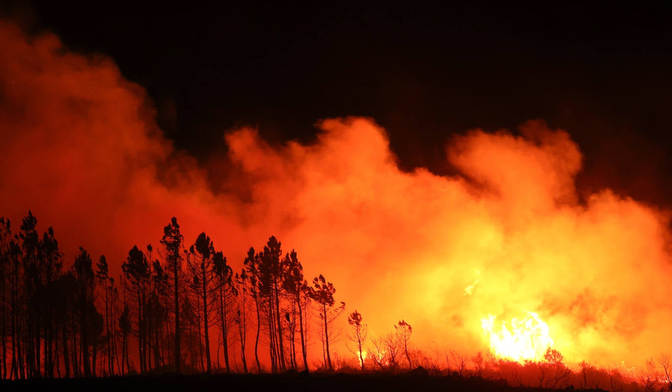 Un incendio sorprende por su virulencia en la Sierra de Francia. 