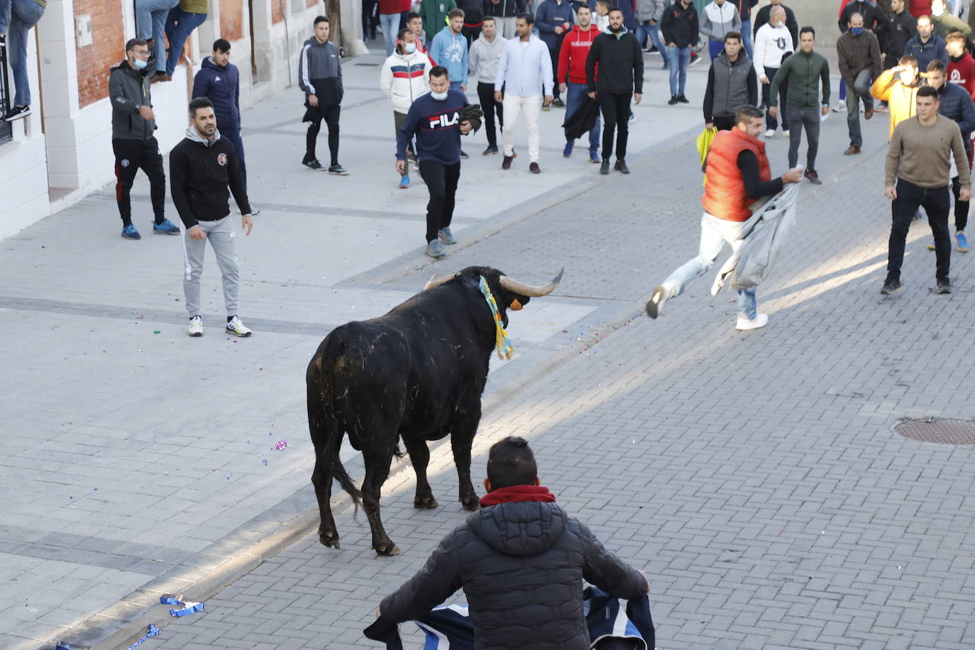 Fotos: Toro del cajón en Traspinedo