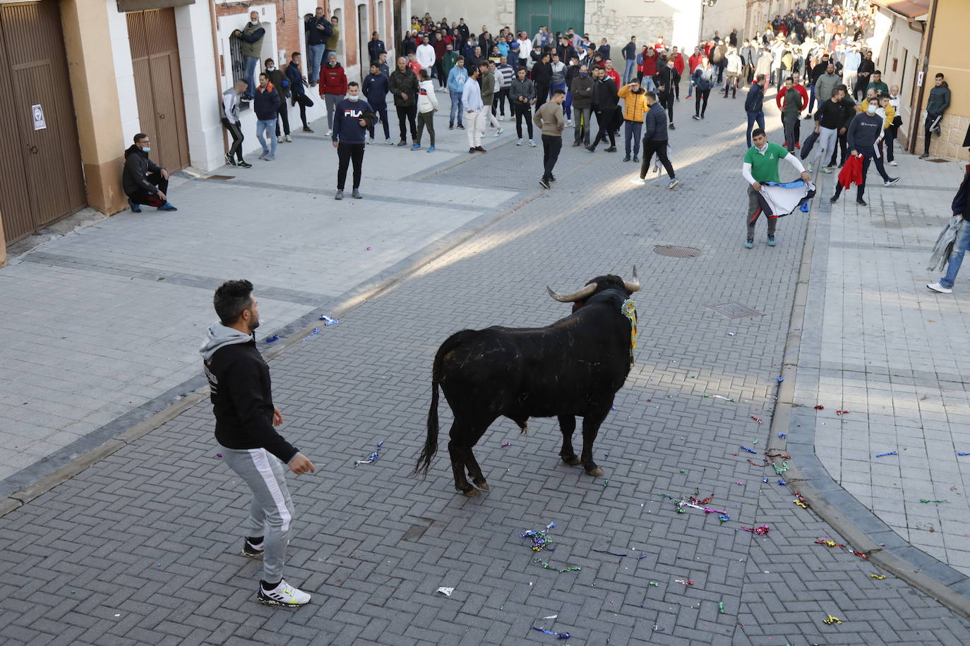 Fotos: Toro del cajón en Traspinedo