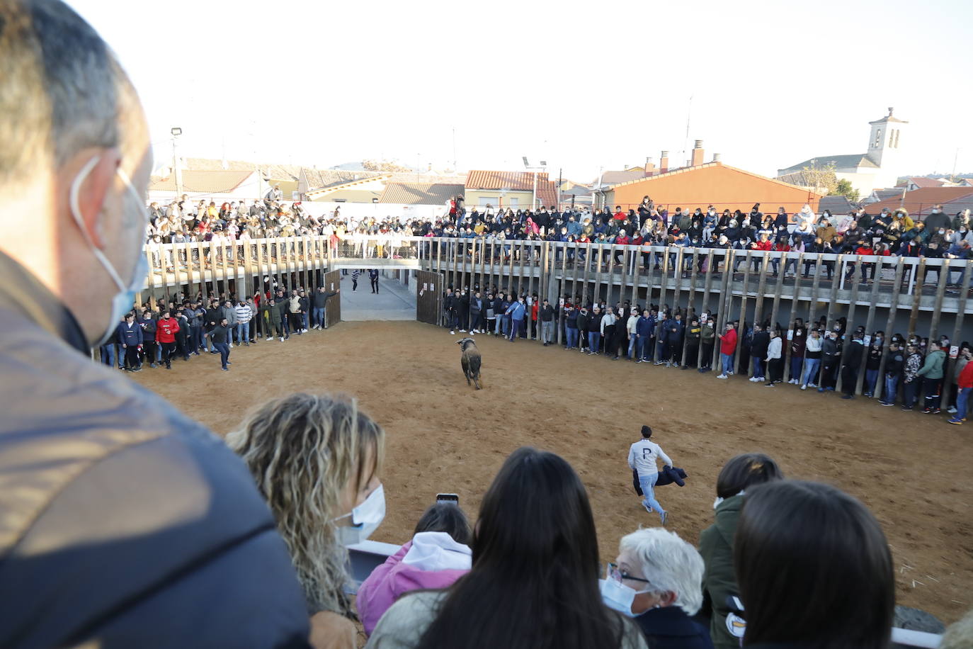 Fotos: Toro del cajón en Traspinedo