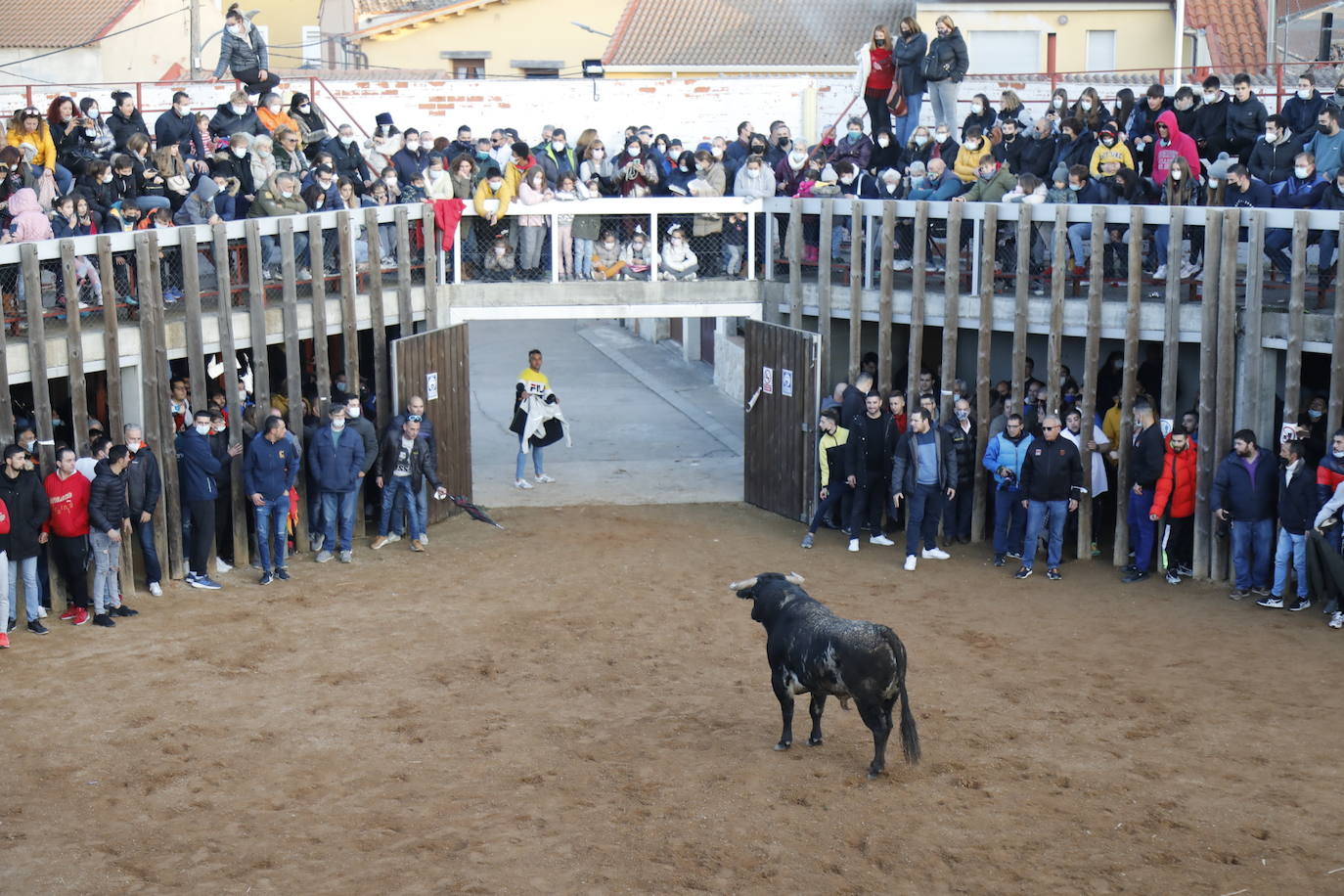Fotos: Toro del cajón en Traspinedo