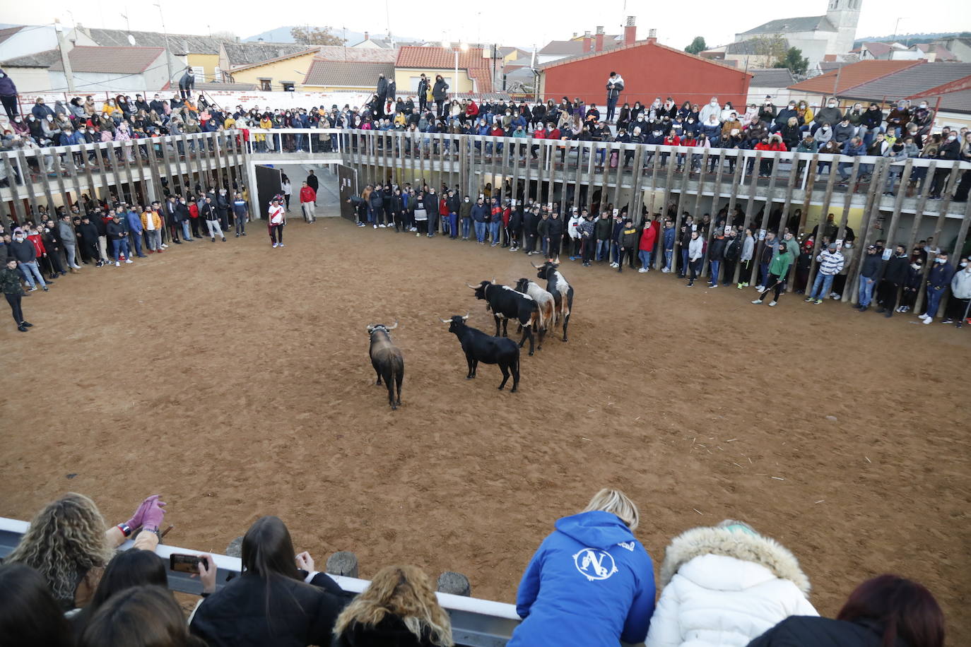 Fotos: Toro del cajón en Traspinedo