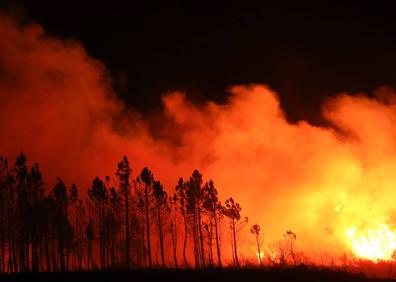 Imagen secundaria 1 - Extinguido un virulento incendio en la zona de la Sierra de Francia y Las Batuecas en Salamanca