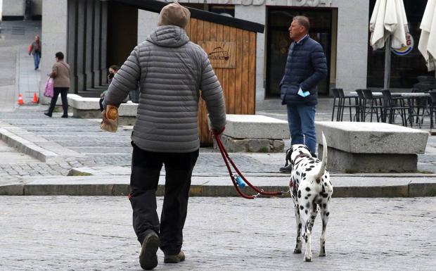 El ADN canino, que acumula meses de retraso en Segovia, será gratis para los dueños