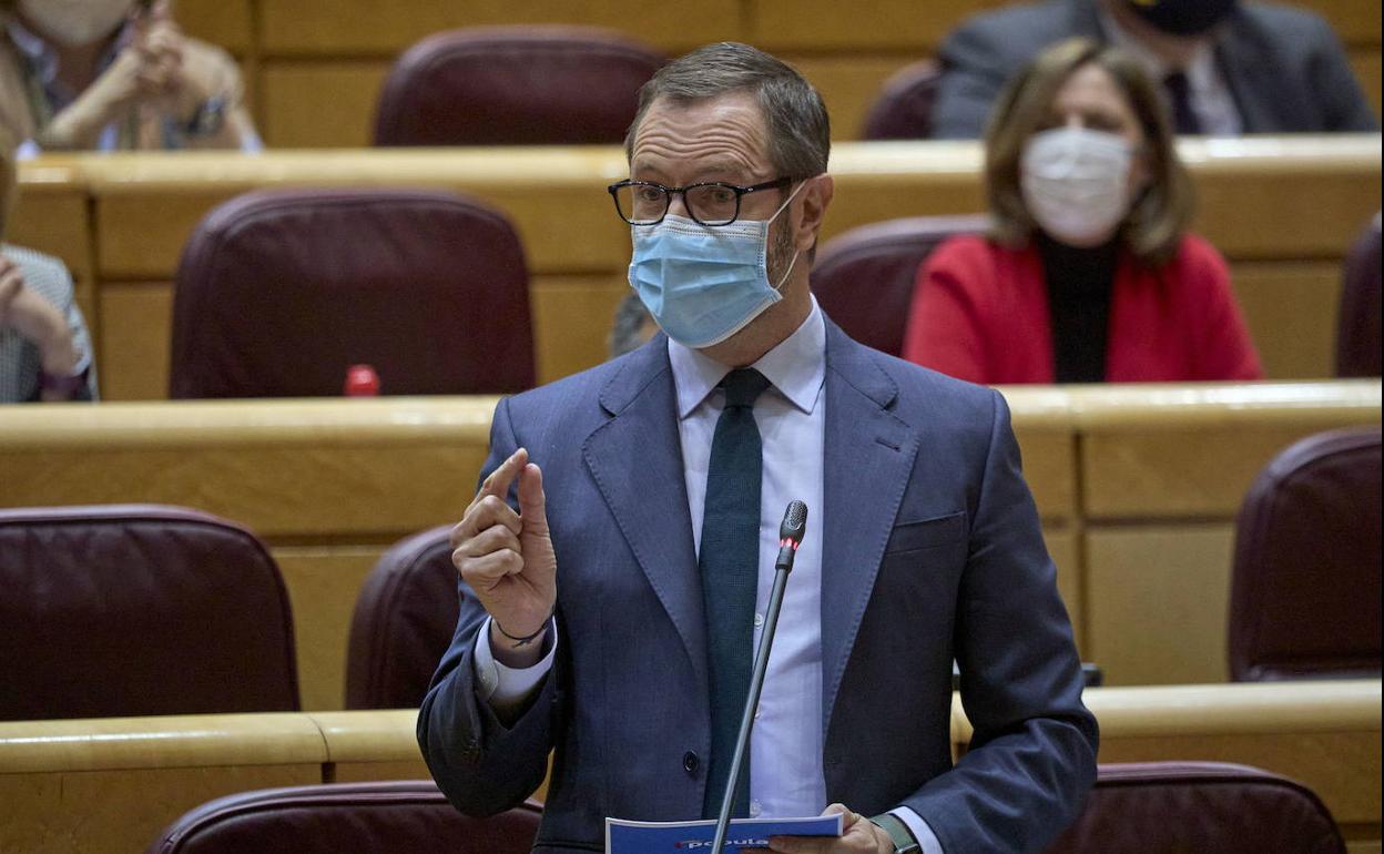 El portavoz del Grupo Popular en el Senado, Javier Maroto.