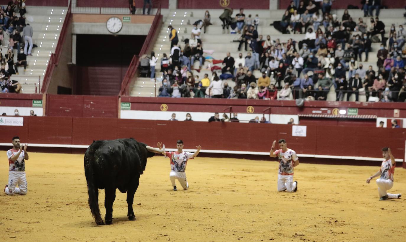 Concurso de cortes de La Flecha