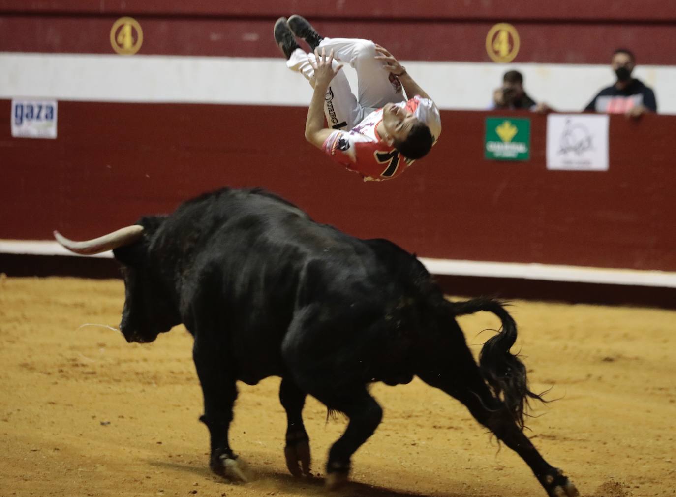 Concurso de cortes de La Flecha