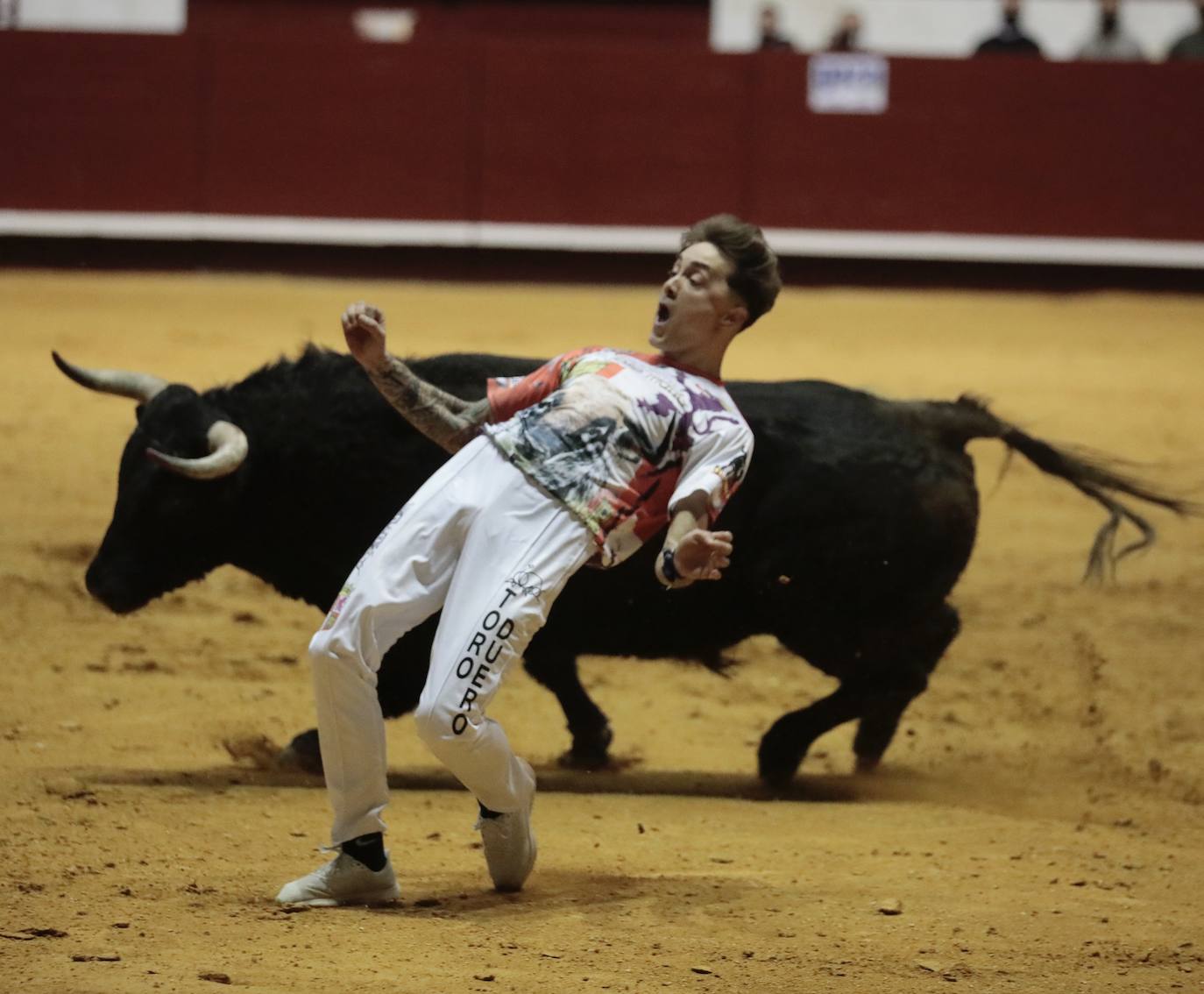 Concurso de cortes de La Flecha