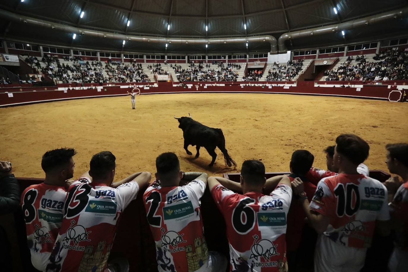 Concurso de cortes de La Flecha