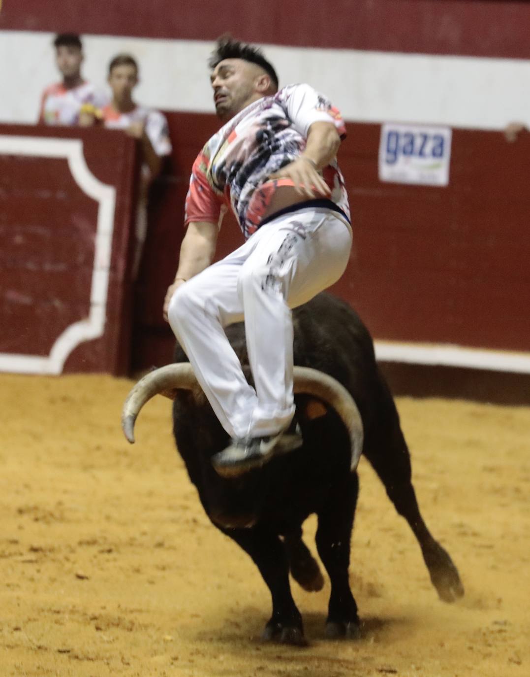 Fotos: Luis Gómez triunfa en el concurso de cortes de La Flecha (2/2)