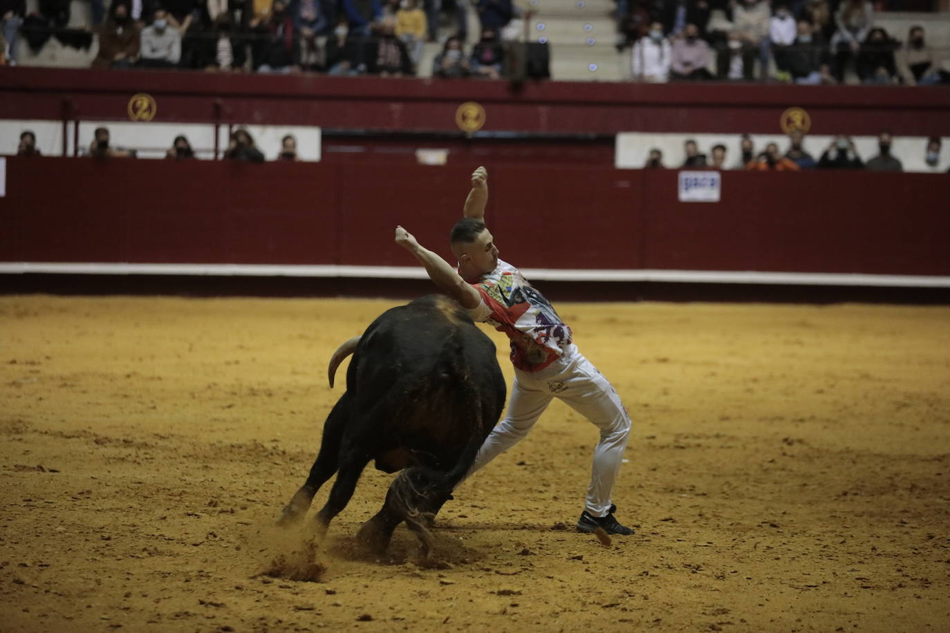 Fotos: Luis Gómez triunfa en el concurso de cortes de La Flecha (2/2)