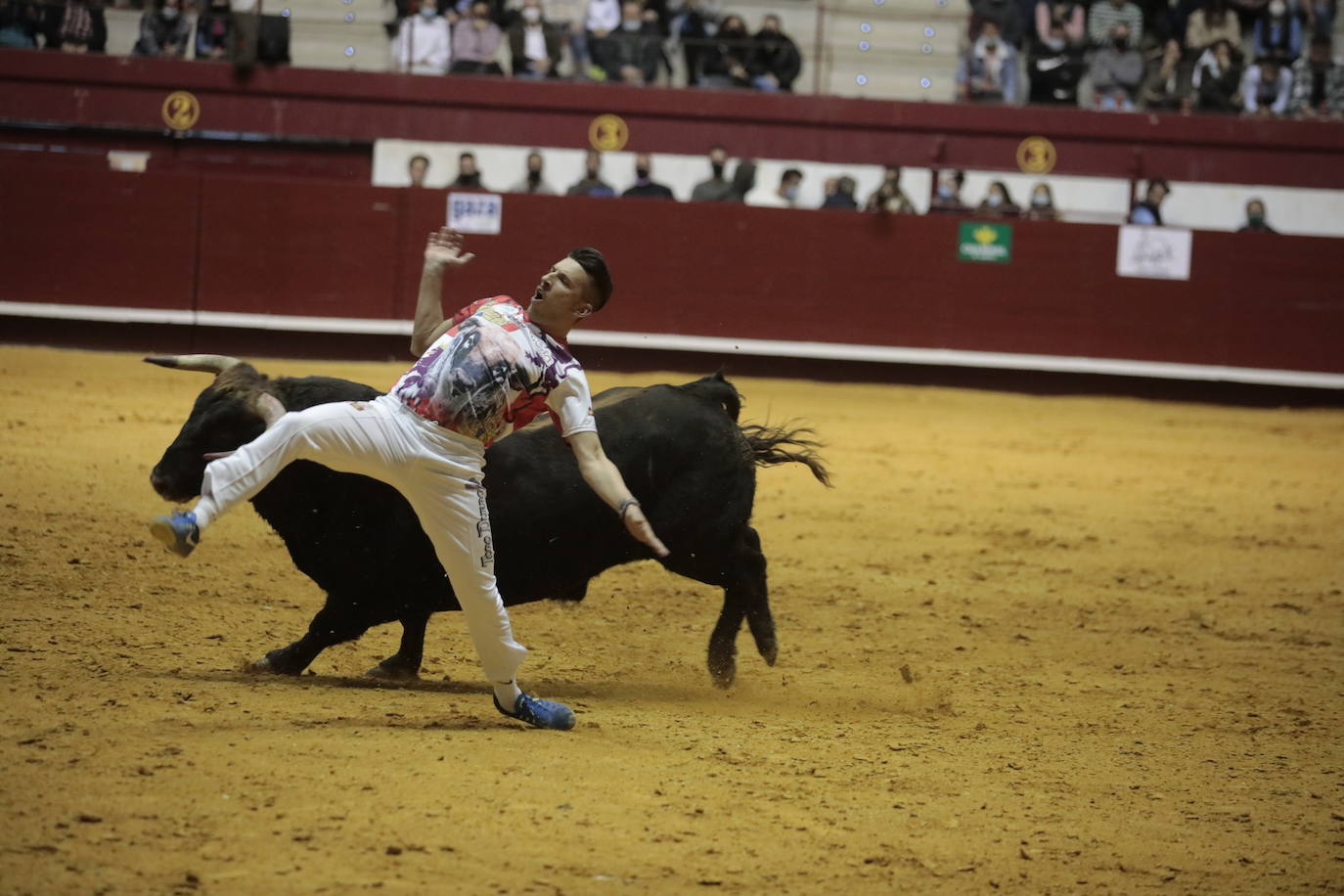 Fotos: Luis Gómez triunfa en el concurso de cortes de La Flecha (2/2)