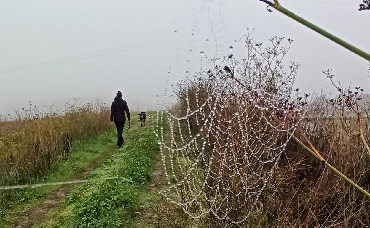 Jornada de niebla y frío en El Bierzo a finales de octubre. 