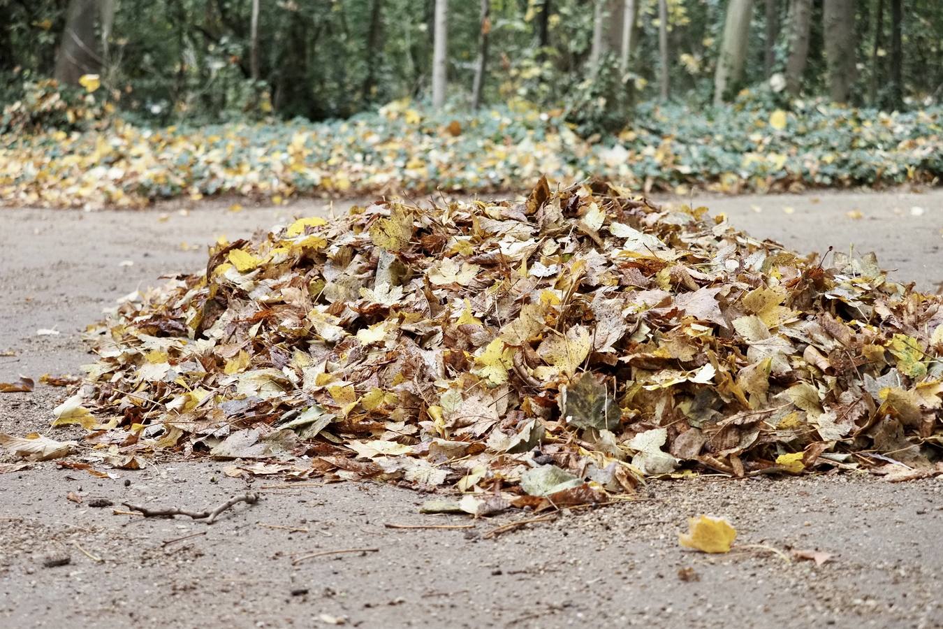 Fotos: El frío de otoño se instala en Valladolid