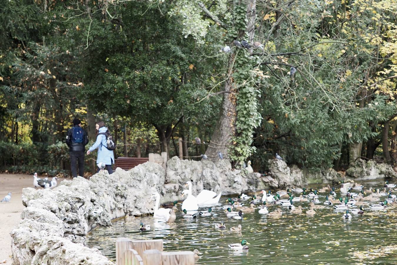 Fotos: El frío de otoño se instala en Valladolid