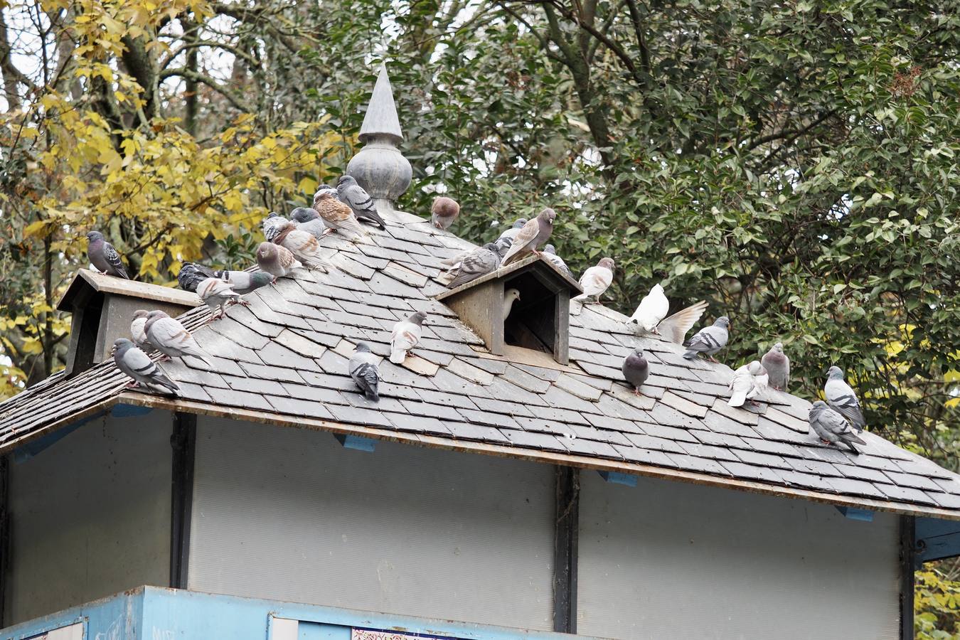 Fotos: El frío de otoño se instala en Valladolid