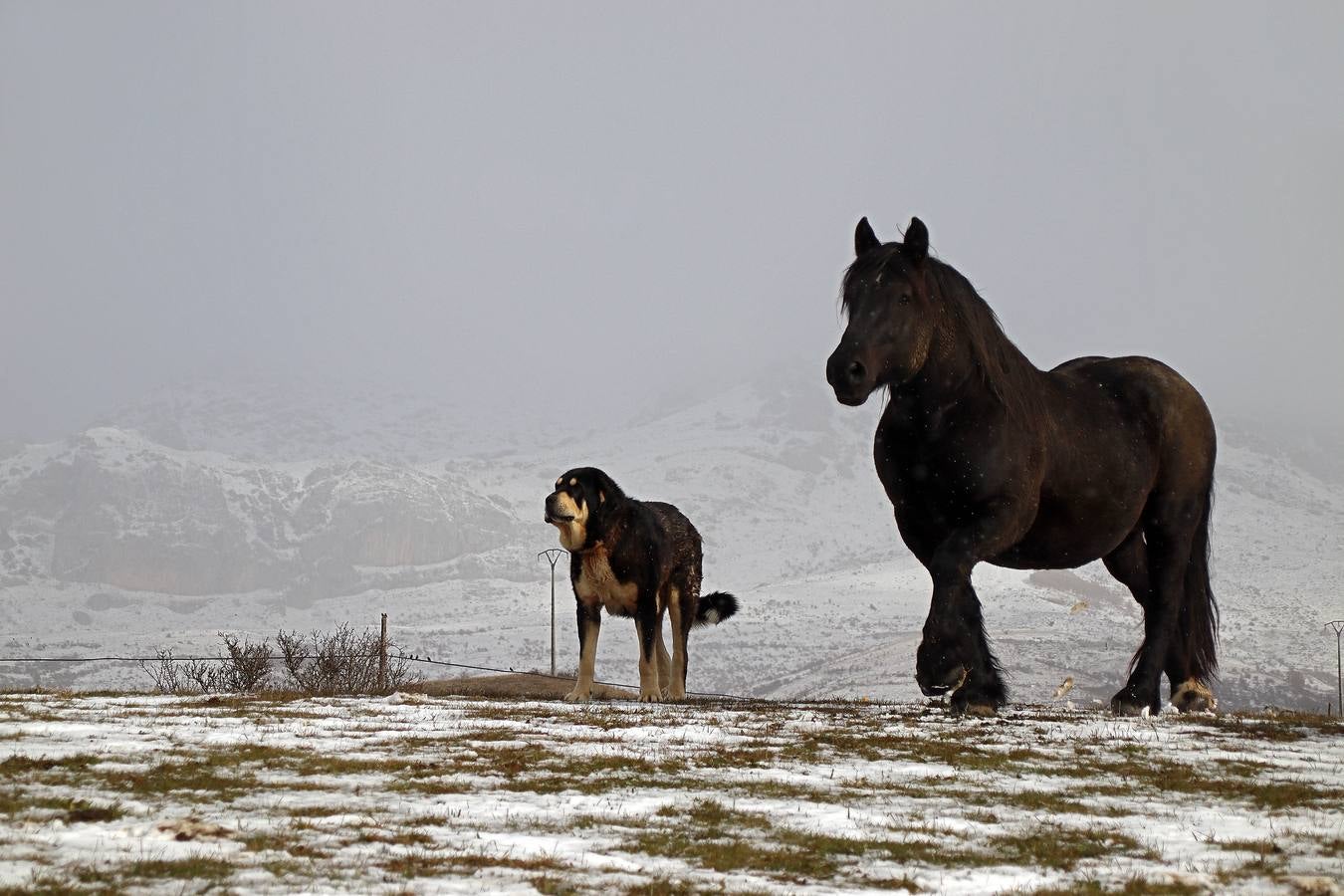 La nieve comienza a caer sobre la comarca de los Argüellos (León)
