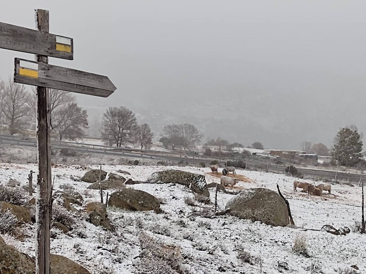Nieve en el Puerto de Navalmoral (Ávila).