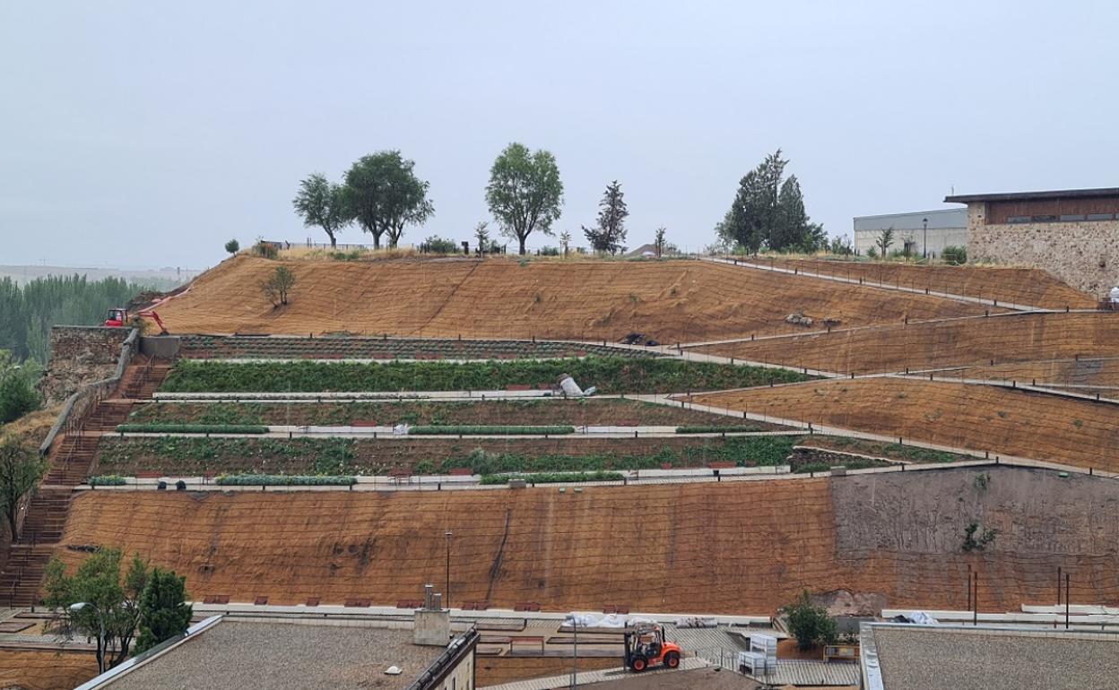 Cerro de San Vicente. 