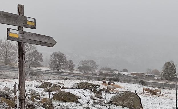 La primera nevada del otoño llega a la montaña de Ávila