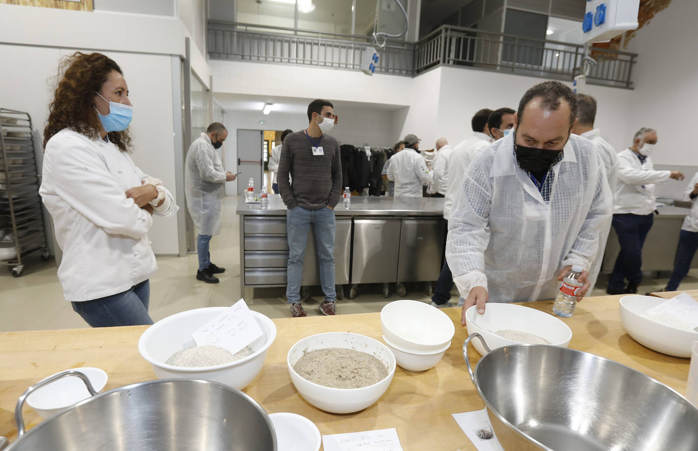 Fotos: Lecciones de la masa madre desde Suiza hasta Palencia