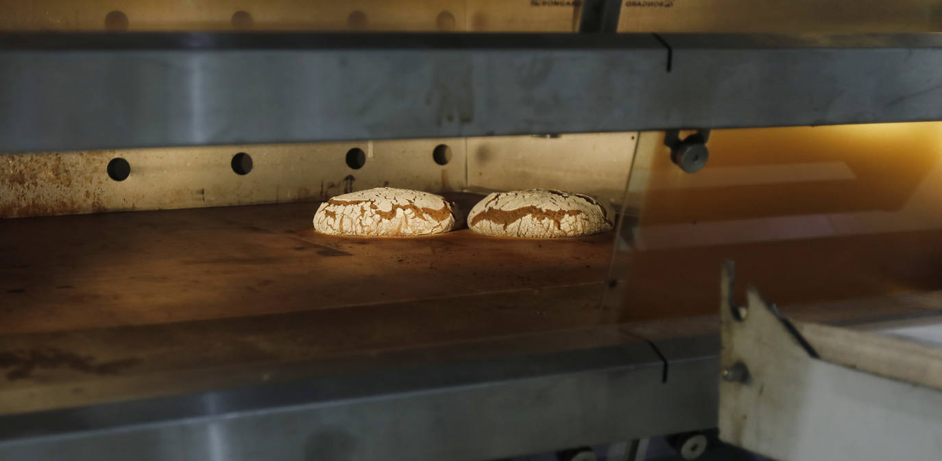 Fotos: Lecciones de la masa madre desde Suiza hasta Palencia