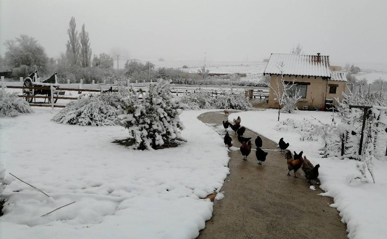 Imagen de la nevada en Monterrubio de la Sierra, en Salamanca