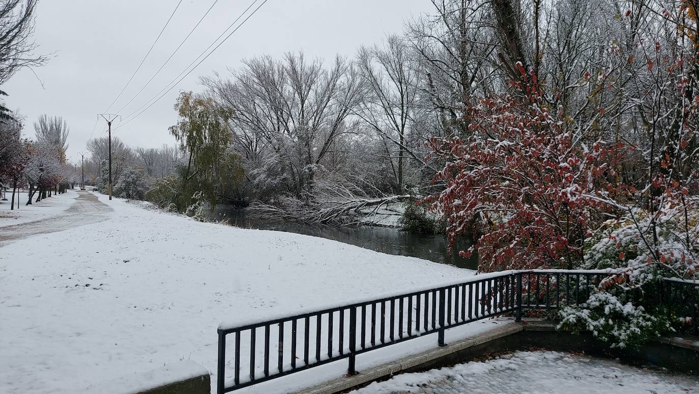 Fotos: La nieve deja bonitas estampas en la ciudad de Palencia