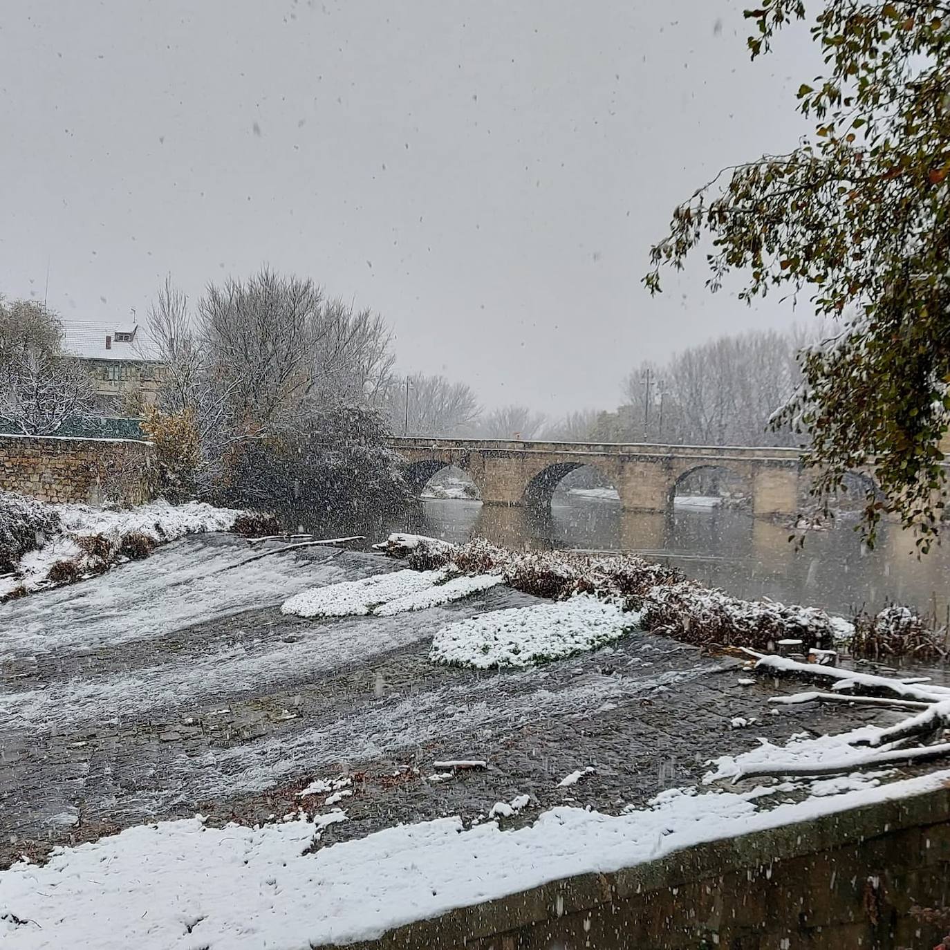 Fotos: La nieve deja bonitas estampas en la ciudad de Palencia