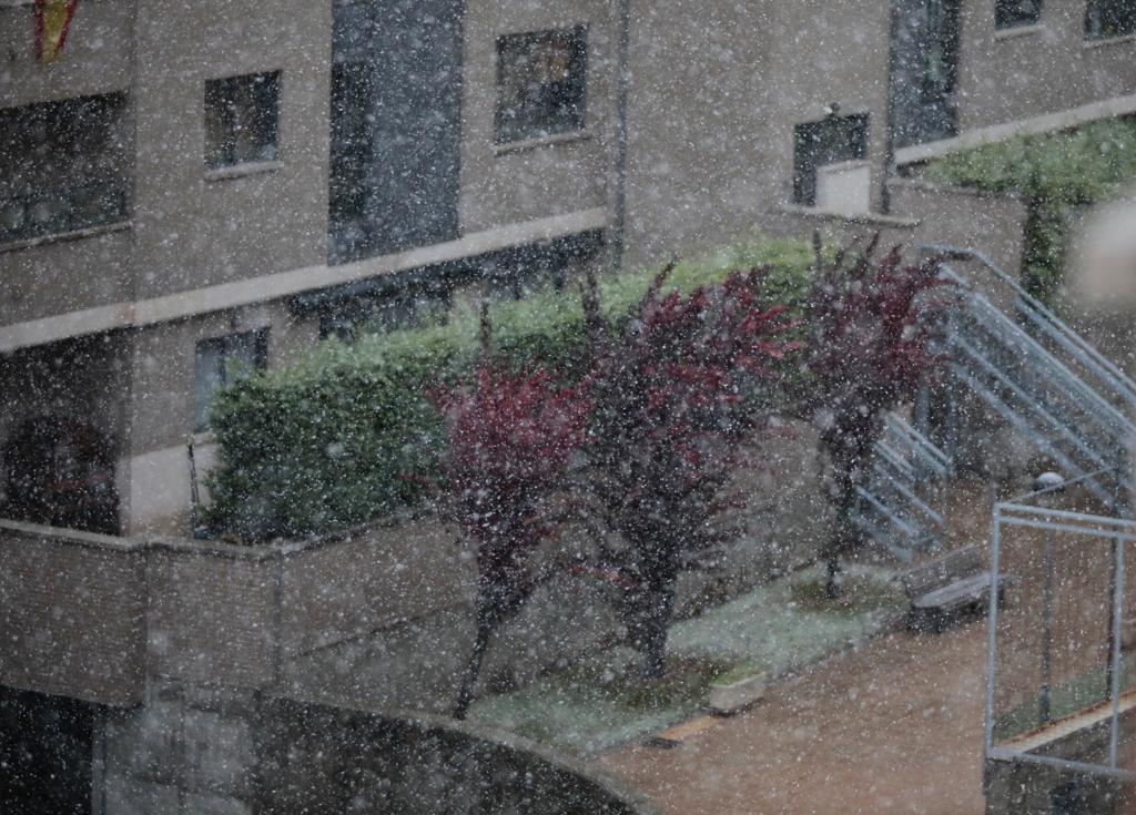 Fotos: Llega a Valladolid la primera nevada desde &#039;Filomena&#039;