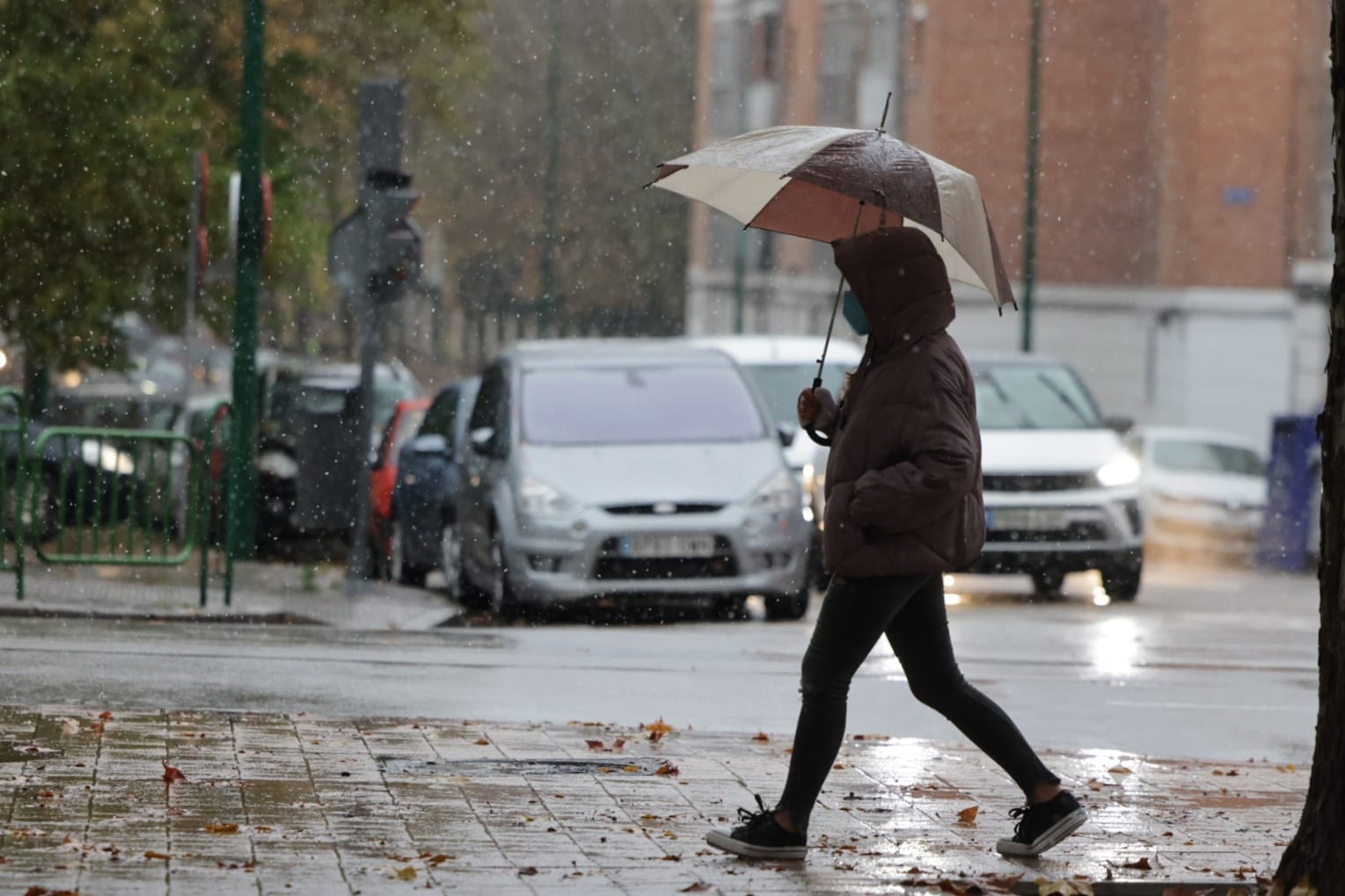 Fotos: Llega a Valladolid la primera nevada desde &#039;Filomena&#039;