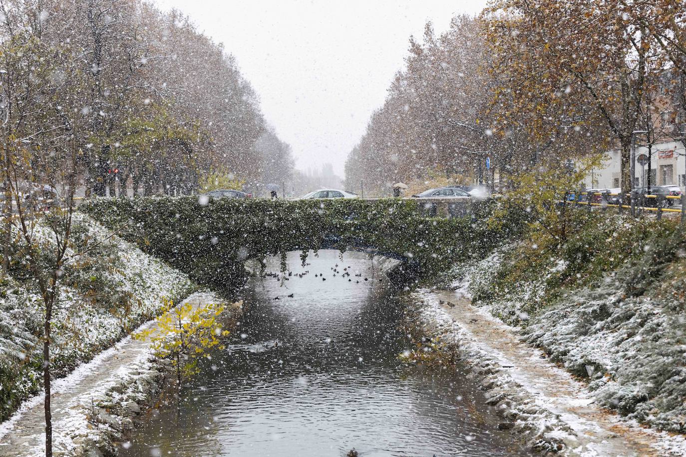 Fotos: Llega a Valladolid la primera nevada desde &#039;Filomena&#039; (2/2)