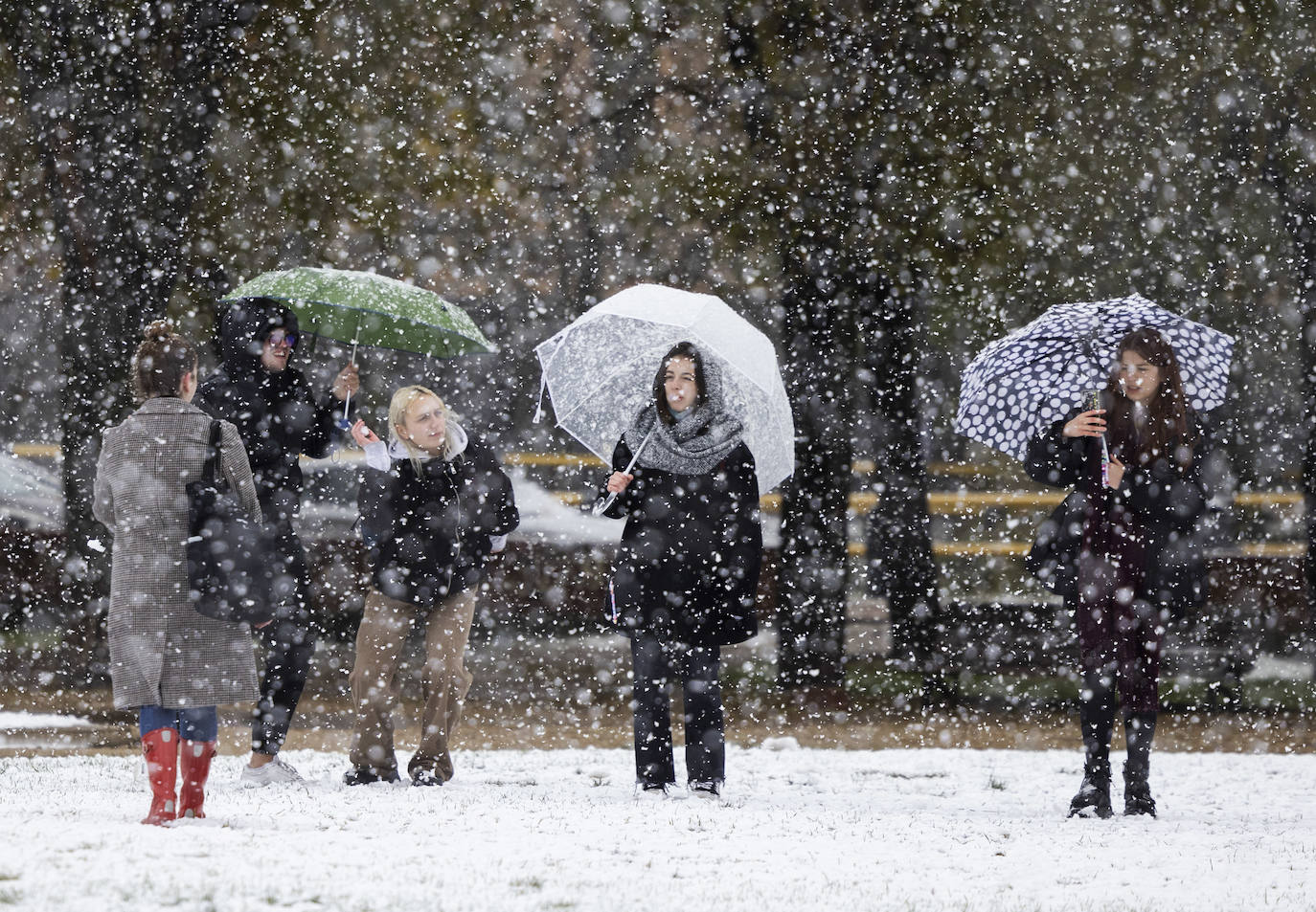 Fotos: Llega a Valladolid la primera nevada desde &#039;Filomena&#039; (2/2)