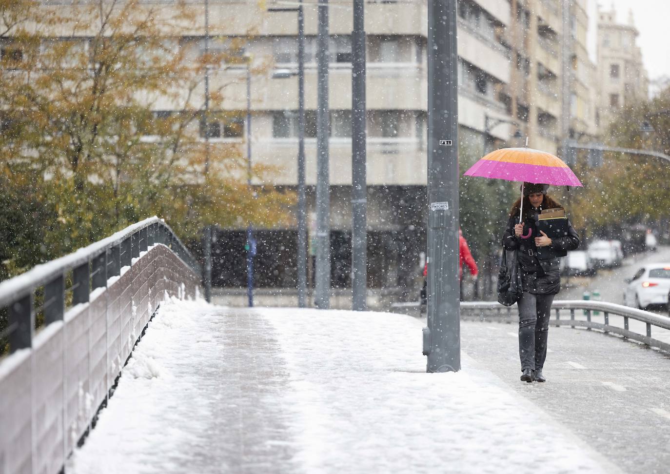 Fotos: Llega a Valladolid la primera nevada desde &#039;Filomena&#039; (2/2)