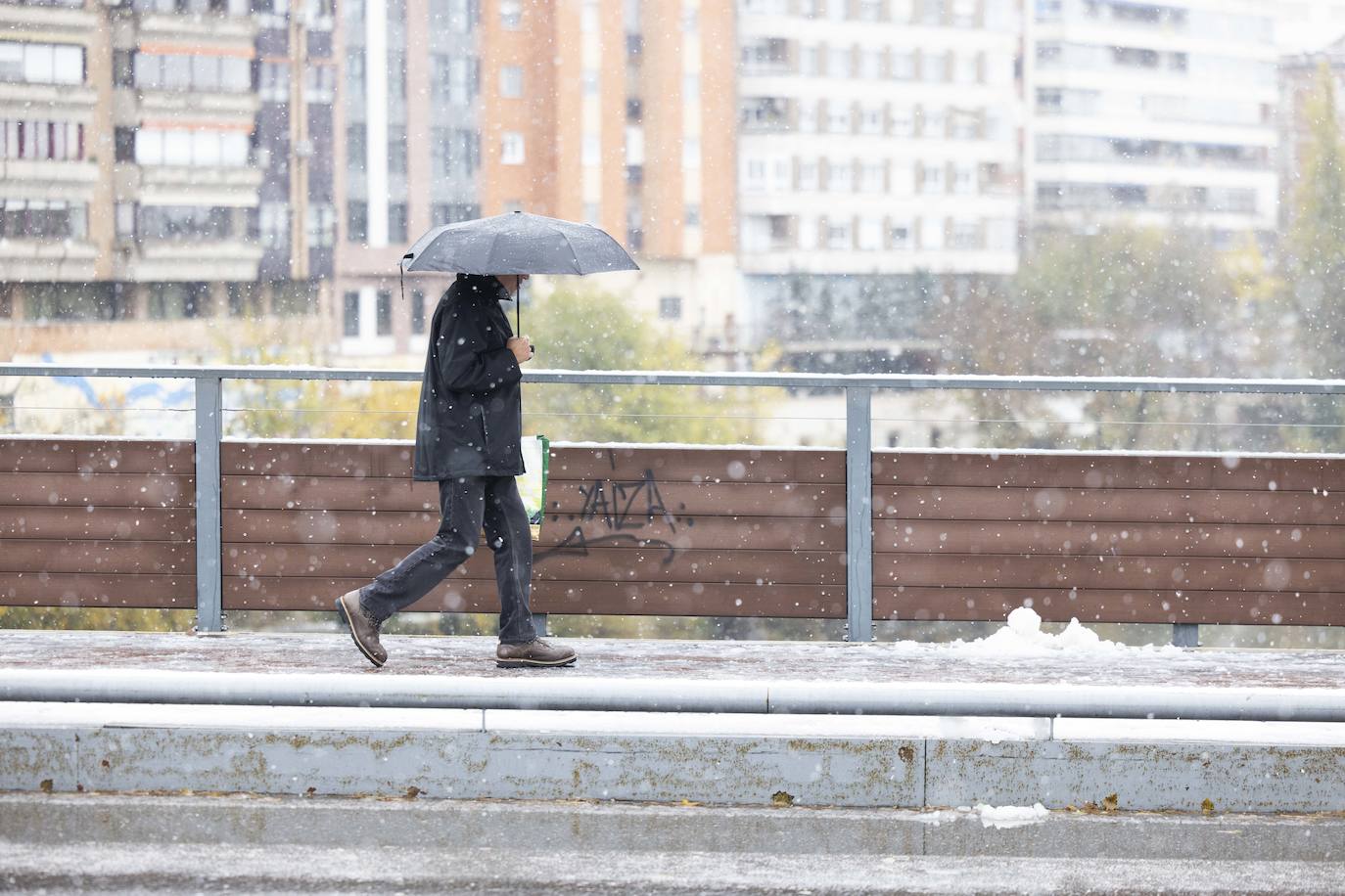 Fotos: Llega a Valladolid la primera nevada desde &#039;Filomena&#039; (2/2)