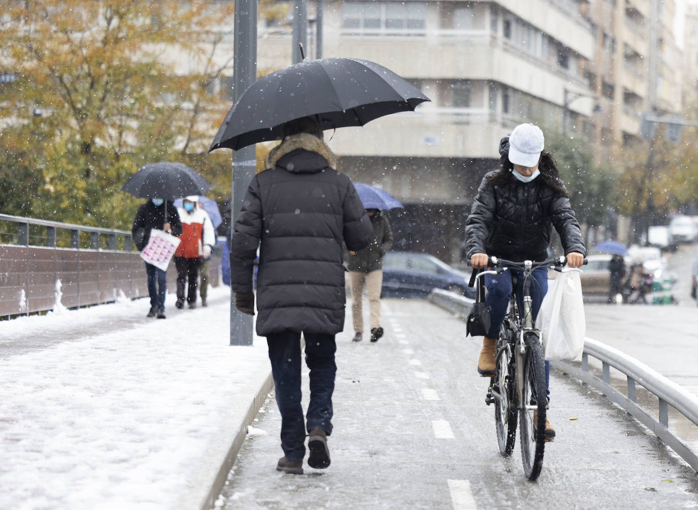 Fotos: Llega a Valladolid la primera nevada desde &#039;Filomena&#039; (2/2)