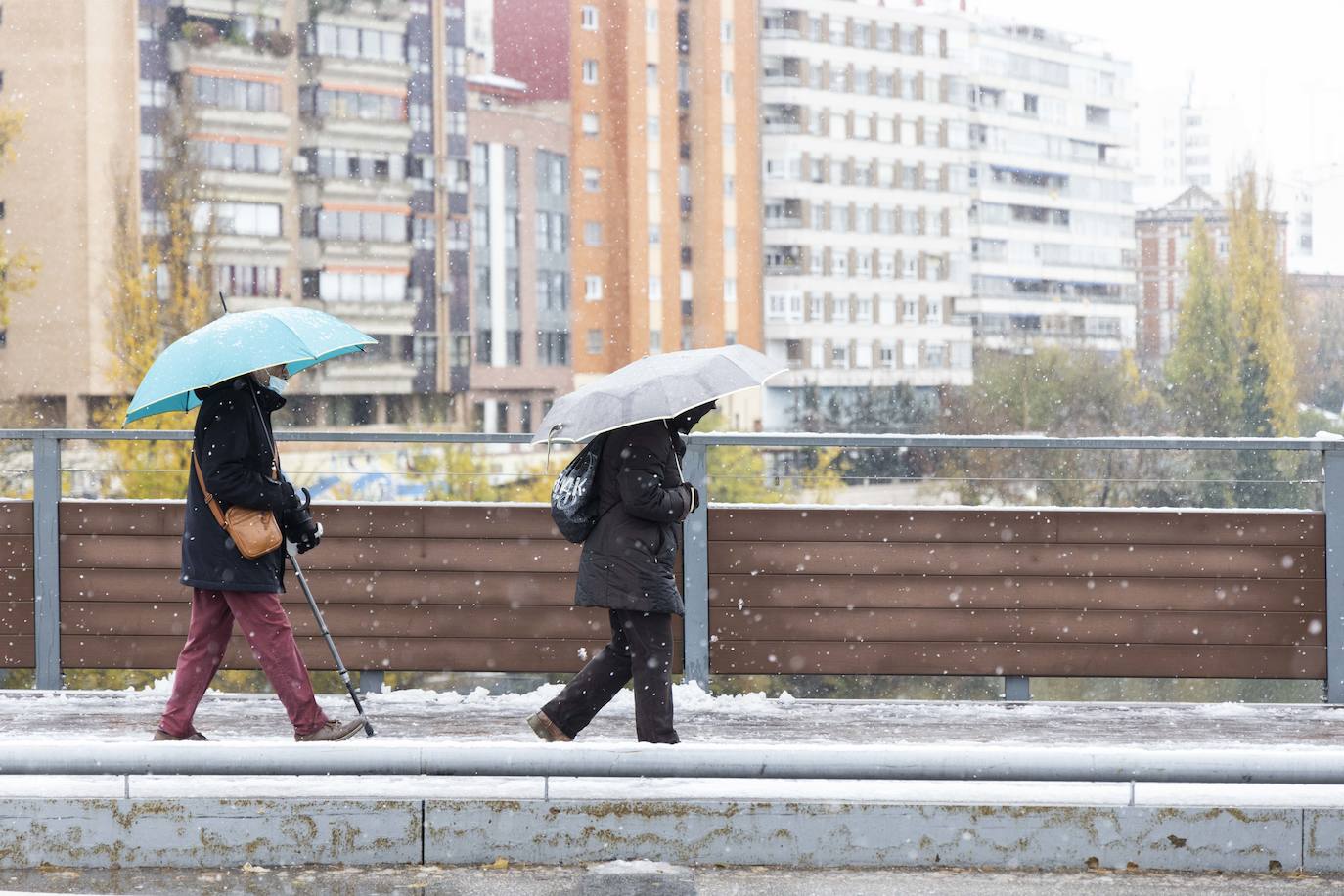 Fotos: Llega a Valladolid la primera nevada desde &#039;Filomena&#039; (2/2)