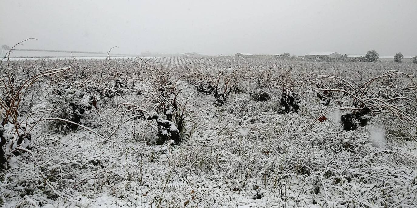 Nieve en Cigales.