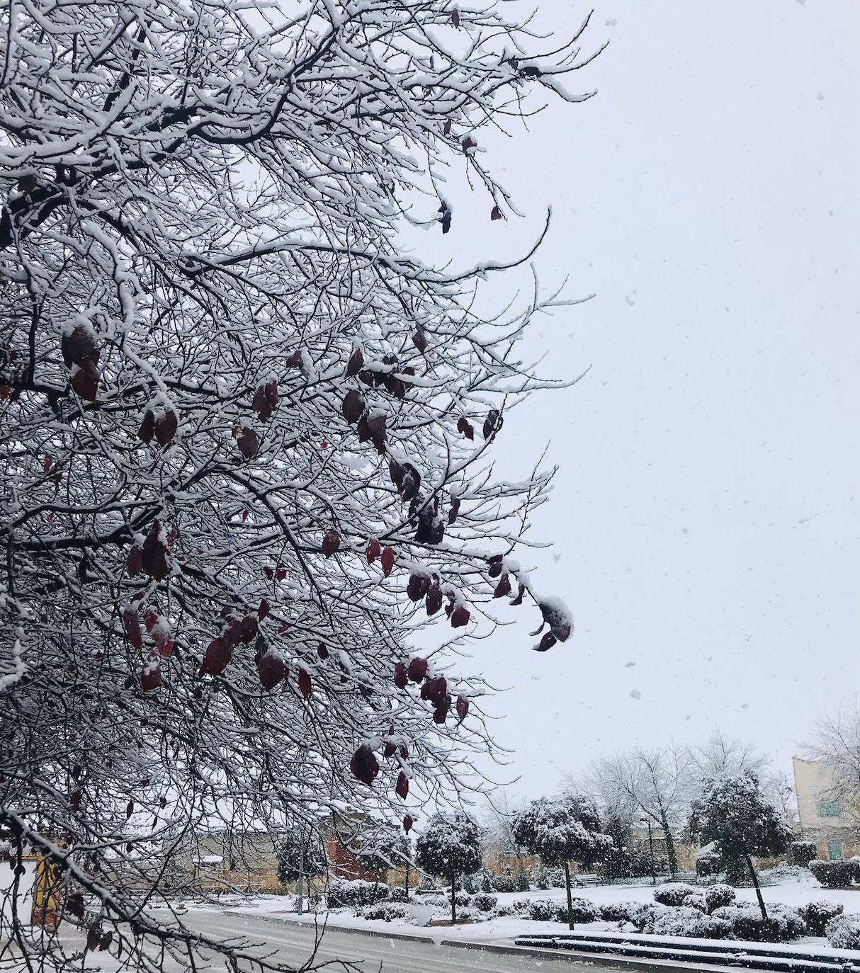 Nieve en Valoria la Buena.