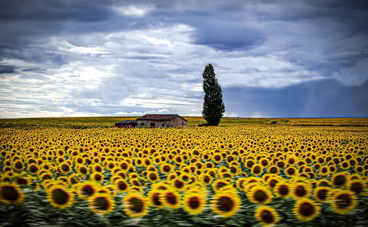 'Semblanza Rural', de la fotógrafa salmantina Belén Rodríguez. 