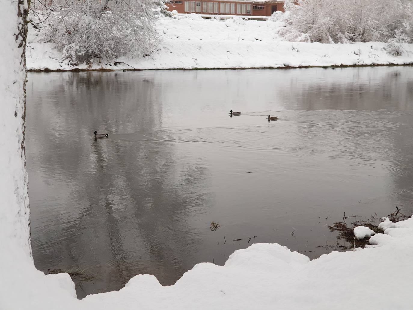 Fotos: Nieve acumulada en Aguilar de Campoo