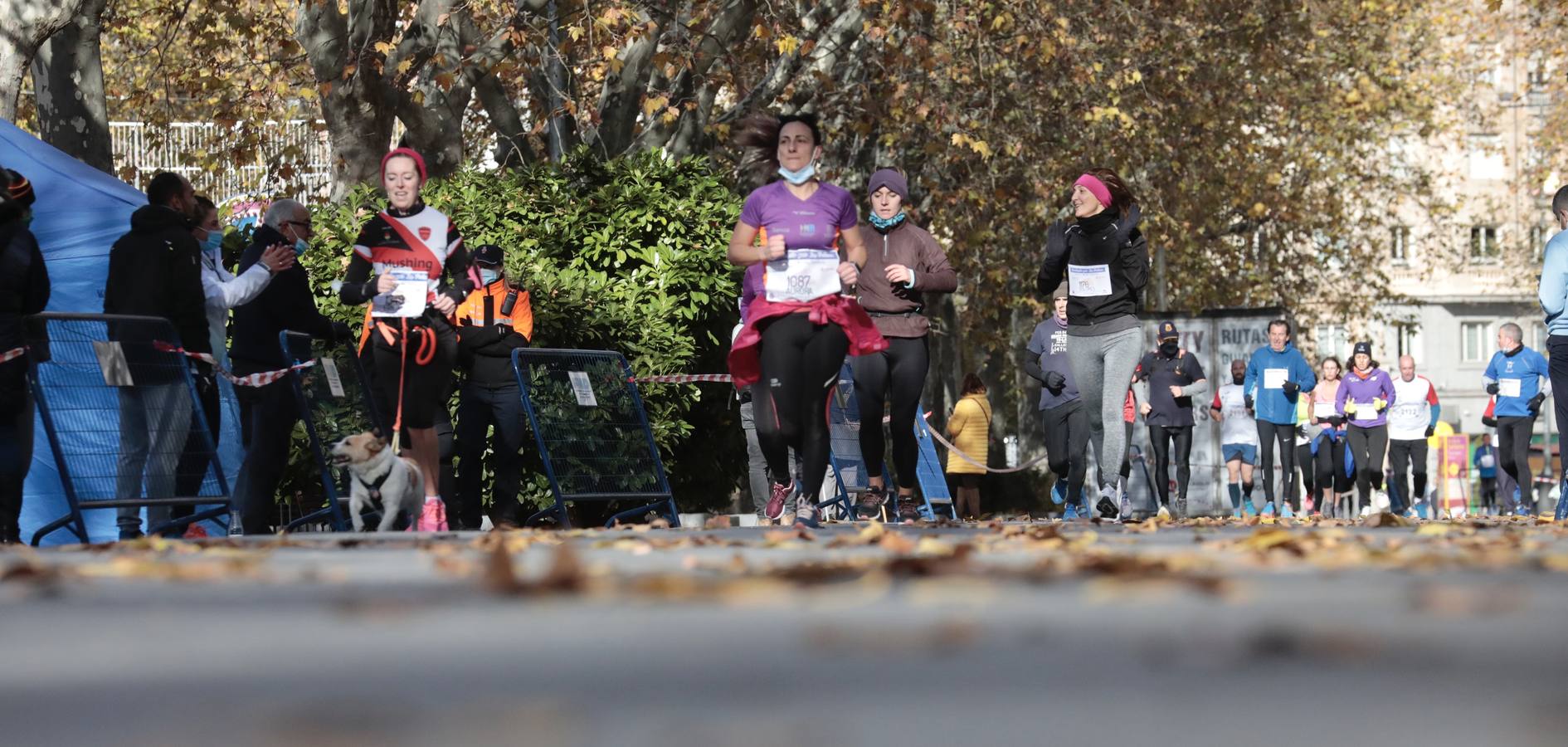 Fotos: Carrera Solidaria &#039;Corriendo por La Palma&#039; en Valladolid