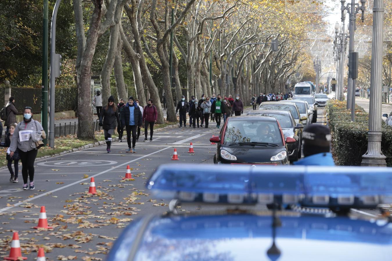 Fotos: Carrera Solidaria &#039;Corriendo por La Palma&#039; en Valladolid