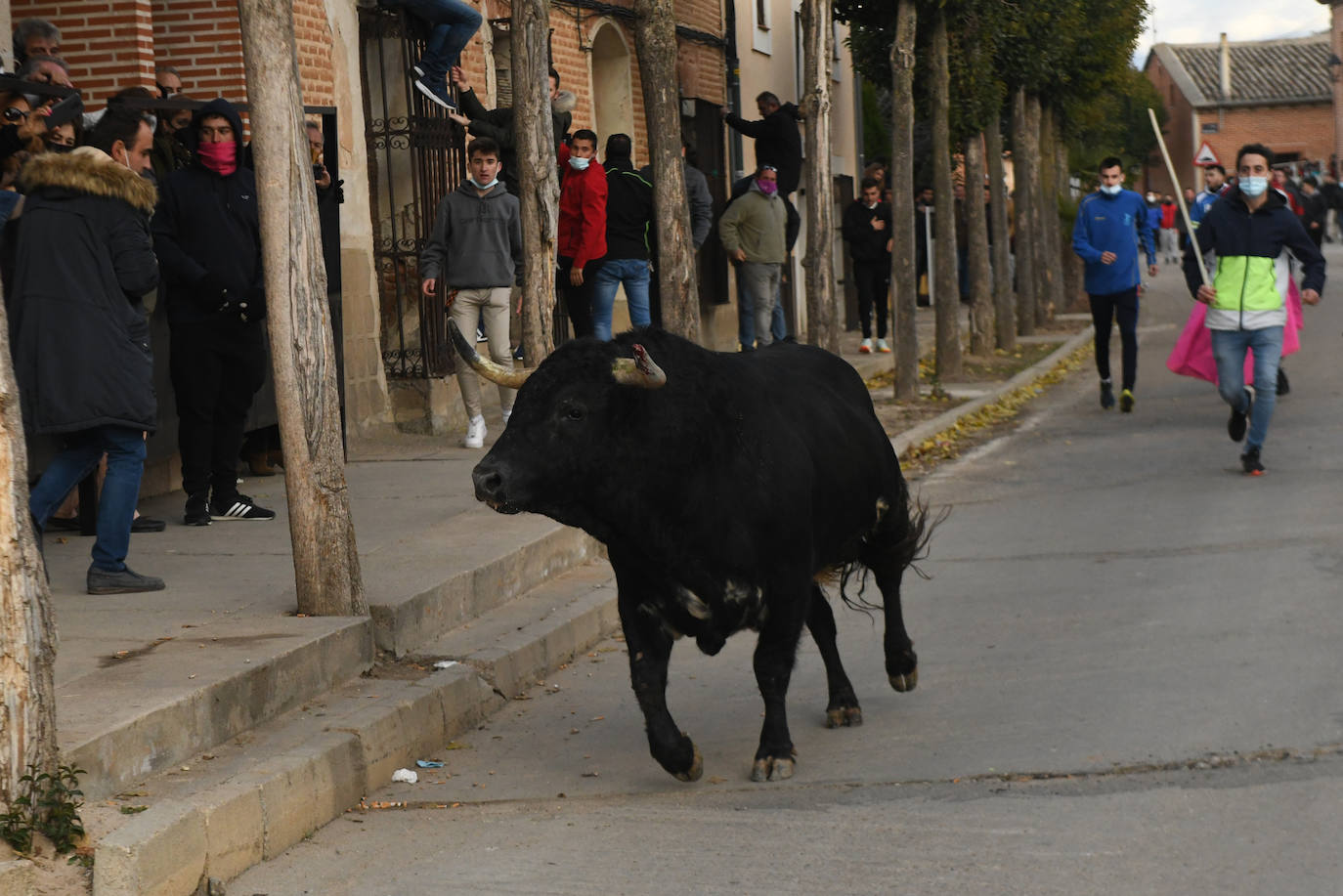 Fotos: Un toro causa el pánico en el encierro en Pollos